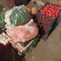 کارگر میدان میوه تره بار مرکزی تهران|استخدام خدمات فروشگاه و رستوران|تهران, میدان میوه و ترهبار مرکزی|دیوار