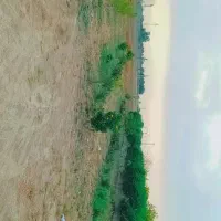 زمین ویلا 750متری