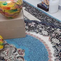 گلدان|گل و گیاه طبیعی|کرج, حیدرآباد|دیوار