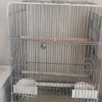 تمام وسایل پرنده زینتی