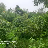 زمین ۲۱۰متر/متری۱۲ فروش فوری زیر قیمت