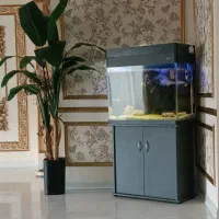 اکواریوم فروشی کاملا سالم با یا بدون وسایل