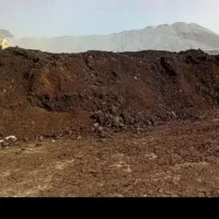 کود گوسفندی پوسیده