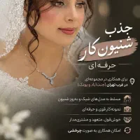 جذب شنیونکار چرخشی