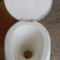 توالت فرنگی