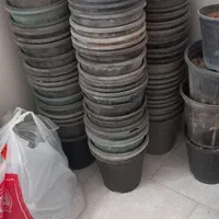 گلدان