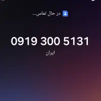 31 51 300 0919