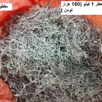تخم مرغ محلی تازه با کیفیت وآویشن وچای کوهی|خوردنی و آشامیدنی|قزوین, |دیوار