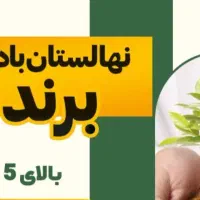 نهالستان بادام جعفری