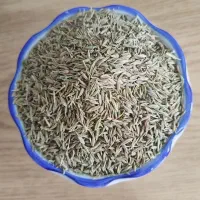 زیره سبز امسالی