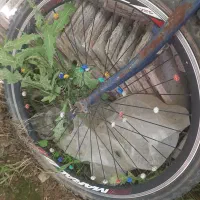 یک عدد دوچرخه ۲۶