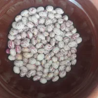 لوبیا چیتی اعلا بوجاری شده|خوردنی و آشامیدنی|تهران, عباسی|دیوار