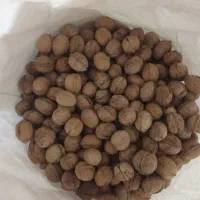 گردو  تازه امسالی کیلو 400