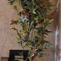 گل مصنوعی آویزان و گلدان چوبی
