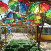 کودکستان تا دبیرستان خلاق محور نوید