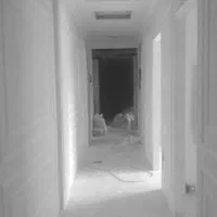 نقاشی ساختمان و لکه گیری گچ کاری|خدمات پیشه و مهارت|کرمانشاه, |دیوار