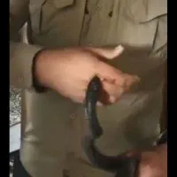 همه نمونه مهره به تضمین با د ع ا|بدلیجات|یاسوج, |دیوار