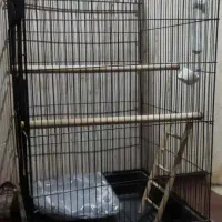 قفس کاسکویی