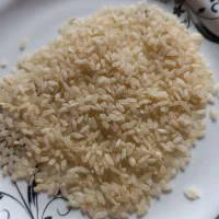 برنج کامفیروز