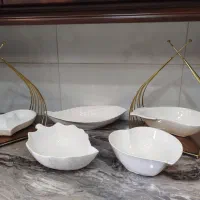 ظروف پذیرایی شیک