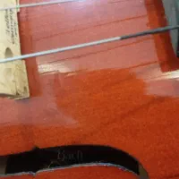 ویلون باخ آک|ویولن|مشهد, سپاد|دیوار