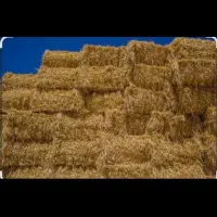 تعداد ۴۰۰ عدد