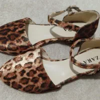 کفش مجلسی|کیف، کفش، کمربند|رشت, گیل|دیوار