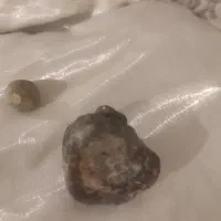 سنگ شب نما|جواهرات|رباط‌کریم, الارد|دیوار