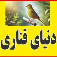 دنیای قناری