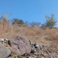 باغ|فروش زمین و ملک کلنگی|مشگین شهر, |دیوار