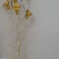 اباژور ۵شاخه