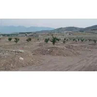 باغشهری جهرم مقصودآباد