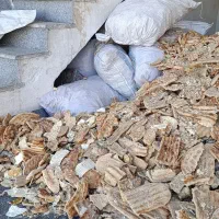 نان خشک تافتون