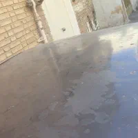 روآ|خودرو سواری و وانت|اصفهان, باغ زیار|دیوار