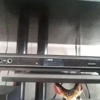 یک عدد دیویدی بادو عددباند