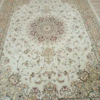 دو عدد فرش تمیز|فرش|مهاباد (آذربایجان غربی), |دیوار
