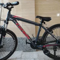 یک عدد دوچرخه