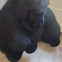 گوریل بسیار زیبا|اسباببازی بچه|تهران, اقدسیه|دیوار