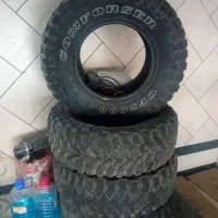 لاستیک پاترول