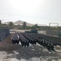 بلوک زنی تاجی