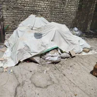 زل کبوتر|خدمات باغبانی و درختکاری|اصفهان, ارغوانیه|دیوار