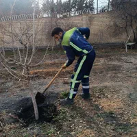 کلیه کارهای سم پاشی،باغبانی،گل کاری وهرس ،تیلرزنی|خدمات باغبانی و درختکاری|مشهد, سرافرازان|دیوار