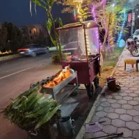 گاری برای اش ،لبو...