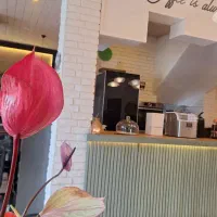 سالنکار  و ظرفشور و کمک اشپز و نونوا پیتزا زن