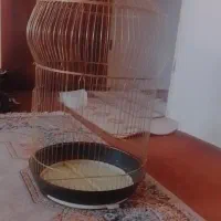 قفس بزرگ