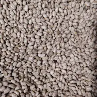 لوبیا چیتی محلی