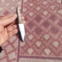 چاقو معاوضه با انگشتر|کوهنوردی و کمپینگ|قم, قلعه کامکار|دیوار