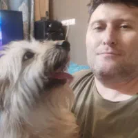 پاپی از نژاد تریر