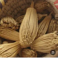 خلال دندان طبیعی