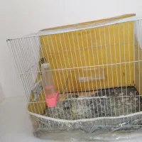 قفس با لوازم